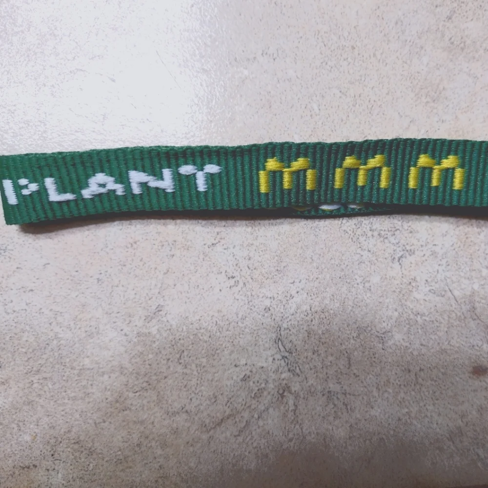 🌵 Cactus Plant Flea Market Bracelet McDonald's Travis Scott Cactus Jack Collab - Picture 2 of 2
